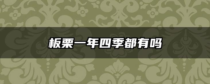 板栗一年四季都有吗