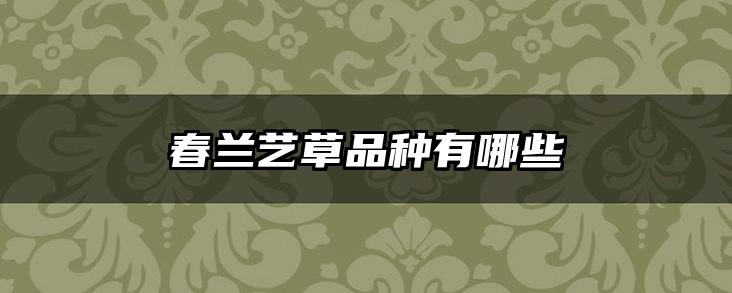 春兰艺草品种有哪些