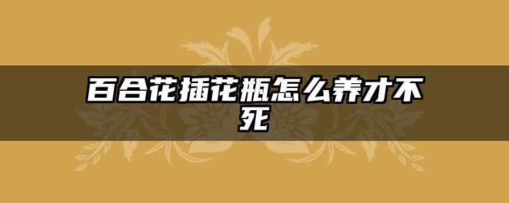百合花插花瓶怎么养才不死
