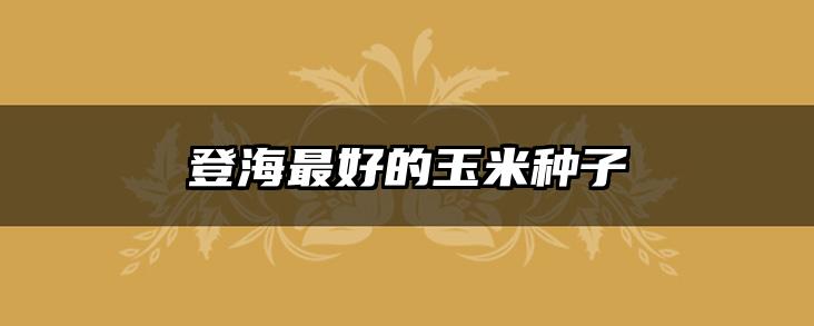 登海最好的玉米种子