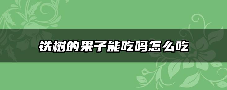 铁树的果子能吃吗怎么吃