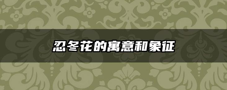 忍冬花的寓意和象征