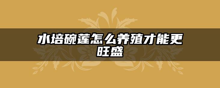 水培碗莲怎么养殖才能更旺盛