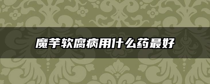 魔芋软腐病用什么药最好