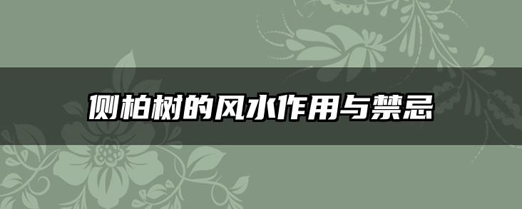 侧柏树的风水作用与禁忌