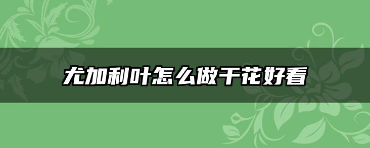 尤加利叶怎么做干花好看