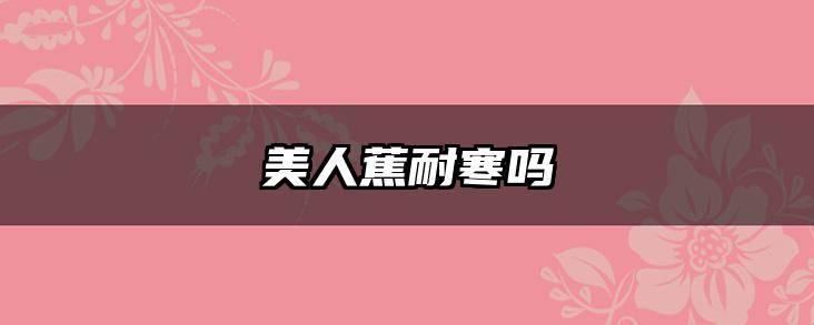 美人蕉耐寒吗