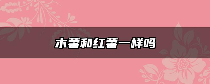 木薯和红薯一样吗