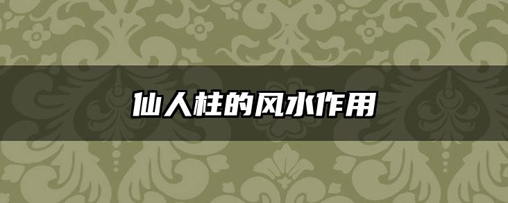 仙人柱的风水作用