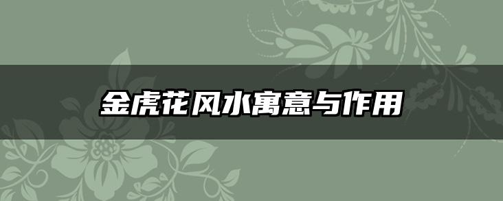 金虎花风水寓意与作用