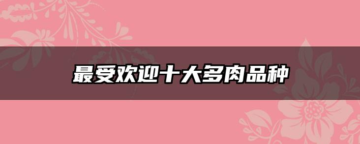 最受欢迎十大多肉品种