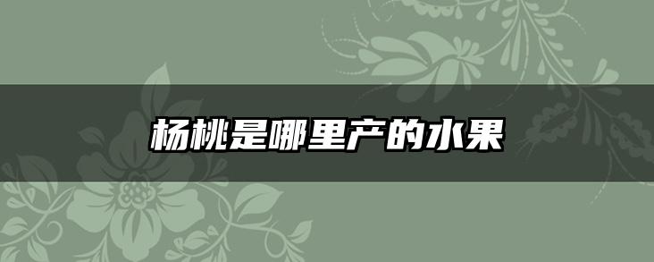 杨桃是哪里产的水果