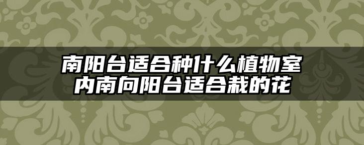 南阳台适合种什么植物室内南向阳台适合栽的花