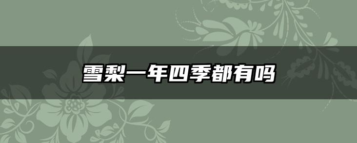 雪梨一年四季都有吗