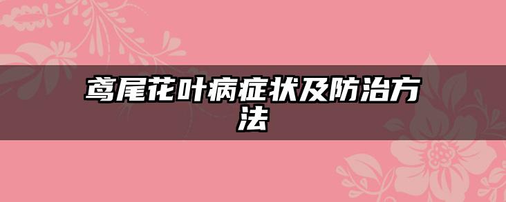 鸢尾花叶病症状及防治方法