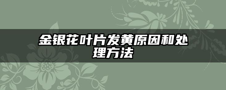 金银花叶片发黄原因和处理方法