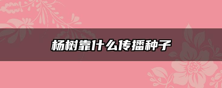 杨树靠什么传播种子