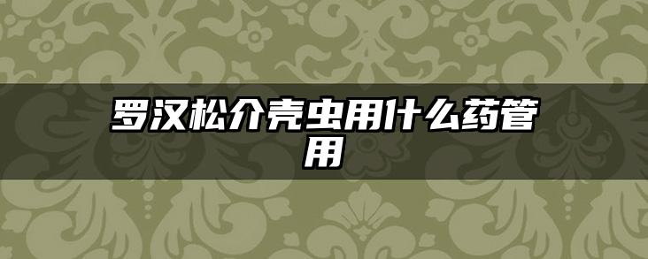 罗汉松介壳虫用什么药管用