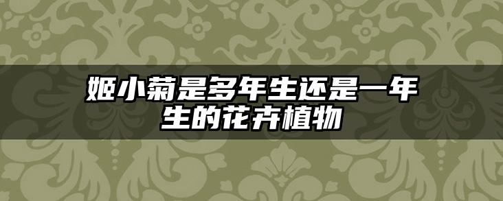 姬小菊是多年生还是一年生的花卉植物