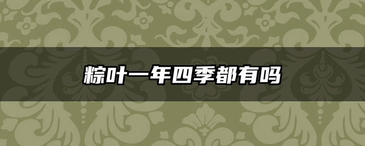 粽叶一年四季都有吗