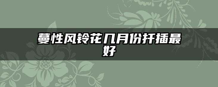 蔓性风铃花几月份扦插最好