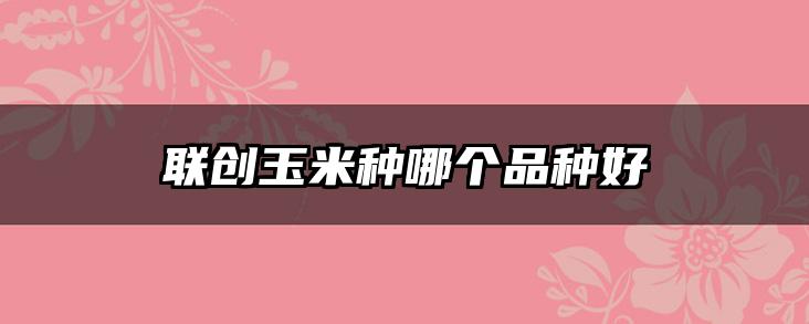 联创玉米种哪个品种好