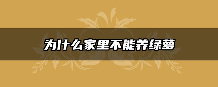 为什么家里不能养绿萝