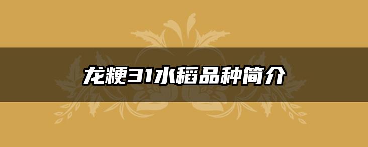 龙粳31水稻品种简介