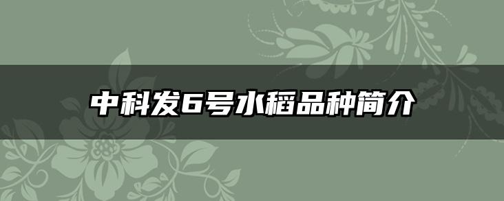 中科发6号水稻品种简介