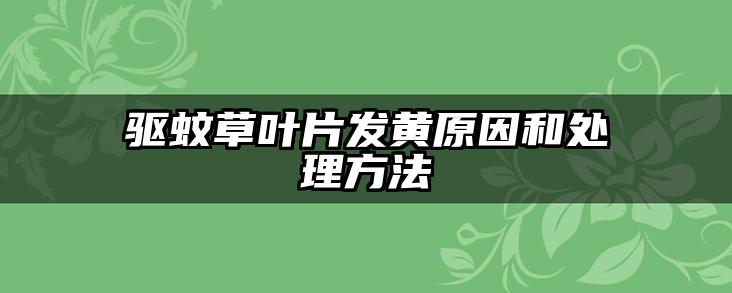 驱蚊草叶片发黄原因和处理方法