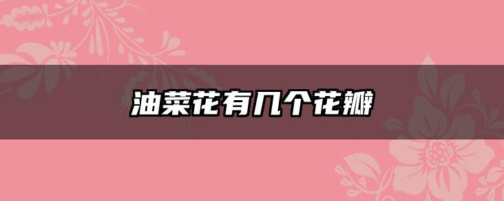 油菜花有几个花瓣
