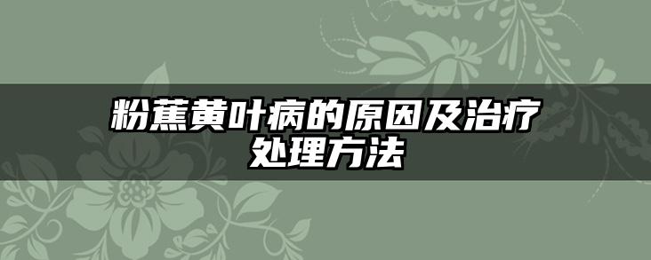 粉蕉黄叶病的原因及治疗处理方法