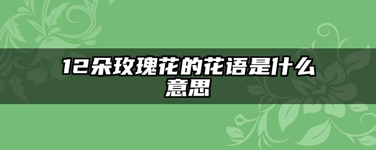 12朵玫瑰花的花语是什么意思