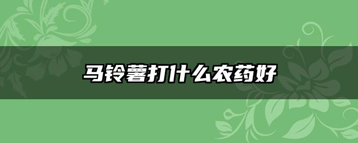 马铃薯打什么农药好