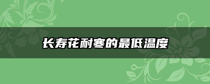 长寿花耐寒的最低温度