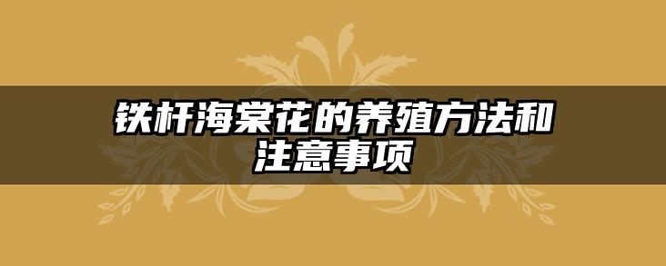 铁杆海棠花的养殖方法和注意事项