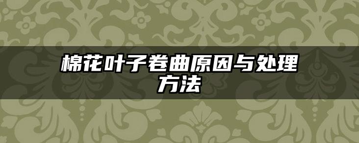 棉花叶子卷曲原因与处理方法