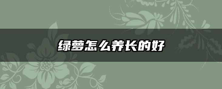 绿萝怎么养长的好