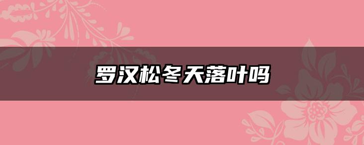 罗汉松冬天落叶吗