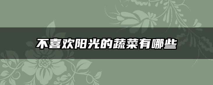 不喜欢阳光的蔬菜有哪些
