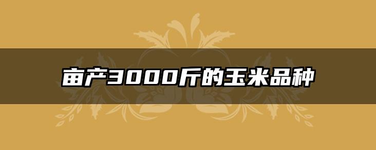 亩产3000斤的玉米品种
