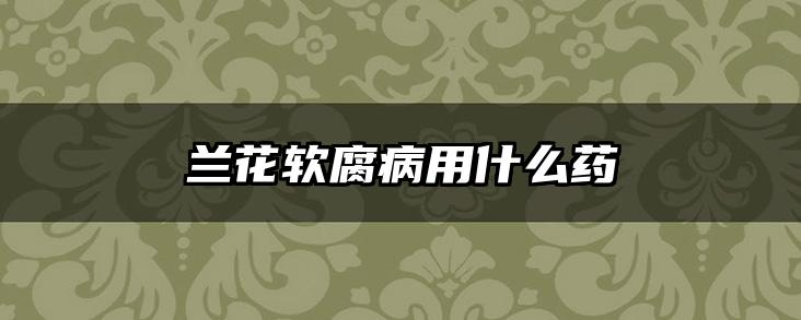 兰花软腐病用什么药