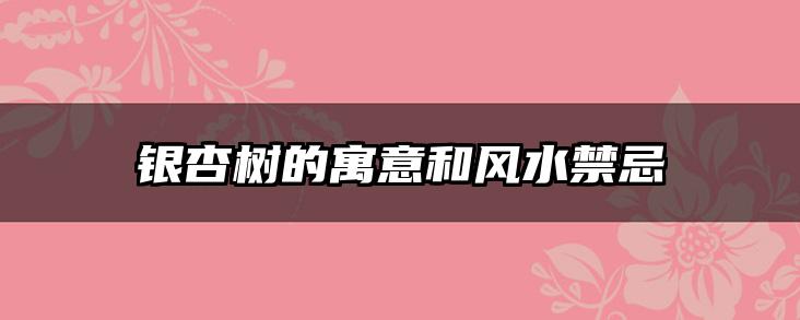 银杏树的寓意和风水禁忌