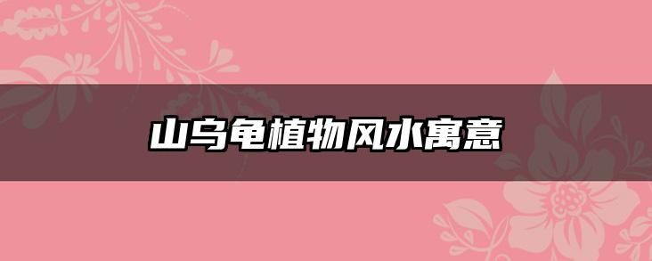 山乌龟植物风水寓意