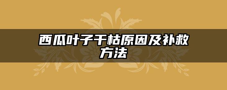 西瓜叶子干枯原因及补救方法