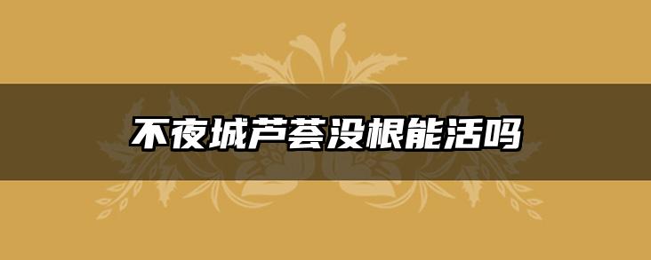 不夜城芦荟没根能活吗