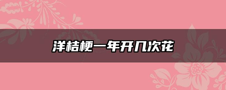 洋桔梗一年开几次花