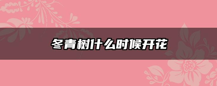 冬青树什么时候开花