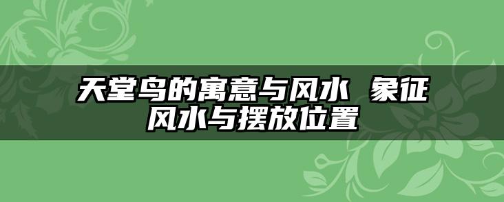 天堂鸟的寓意与风水 象征风水与摆放位置