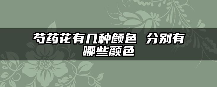 芍药花有几种颜色 分别有哪些颜色